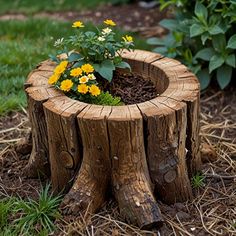 a tree stump with flowers growing in it