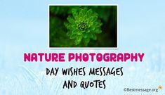 Nature Photography Day Quotes About Photos, Nature Photography Quotes, Beautiful Nature Photography