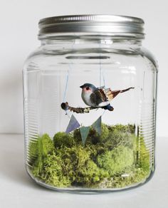 a jar filled with moss and two birds on a branch in the middle of it