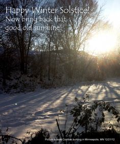 the sun shines brightly through the trees and snow