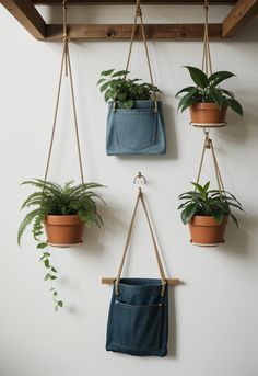 three hanging planters with plants in them on a wall next to a potted plant