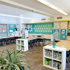 an empty classroom with desks and bookshelves in the back ground, surrounded by potted plants