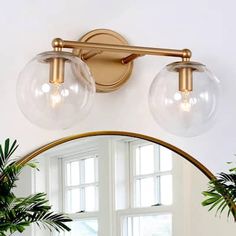 a bathroom mirror with two lights above it and a potted plant in the corner