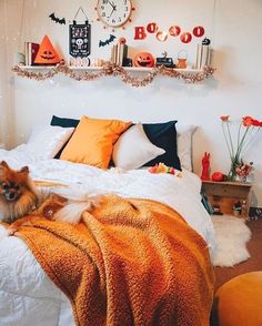 a small dog laying on top of a bed covered in blankets and pumpkins next to a clock