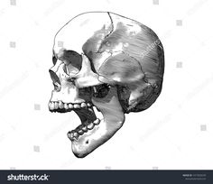 the human skull is shown in black and white, vintage engraving or woodcut style