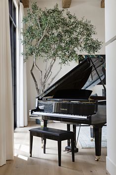 a black grand piano sitting in front of a window next to a tree and bench