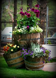 three wooden barrels filled with different types of flowers