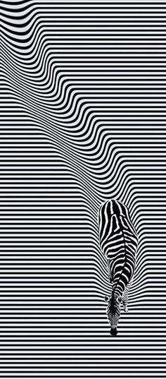 an abstract black and white image with wavy lines