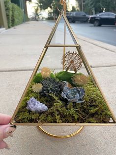 a triangle shaped terrarium with succulents and rocks