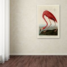 a pink flamingo standing on top of a wooden floor next to a white wall