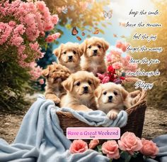 a group of puppies sitting in a basket on top of a blanket next to pink flowers