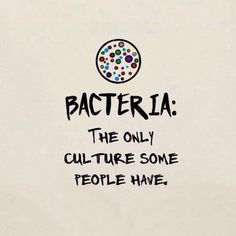 a white wall with black writing that says, bacteria the only culture some people have