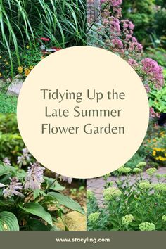 the title for tidying up the late summer flower garden