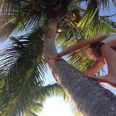 a woman standing on top of a palm tree