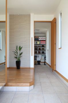 a plant in a pot sitting on the floor next to a shelf with shoes and other items