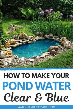 how to make your pond water clear and blue