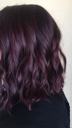 Dark Purple Medium Length Hair, Deep Violet Hair Color Highlights, Natural Looking Purple Hair, Purple Hair From Brown, Plum Hair On Brown Hair, Dark Brown Purple Tint Hair, Amethyst Brown Hair, Dark Purple Hair Color Ideas For Brunettes, Glossy Plum Hair