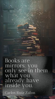 books are mirrors you only see in them what you already have inside you