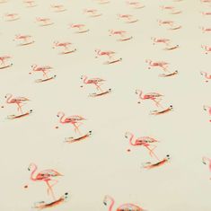 several pink flamingos are standing in the water