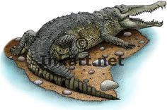 a drawing of an alligator laying on top of a rock with its mouth open and tongue out