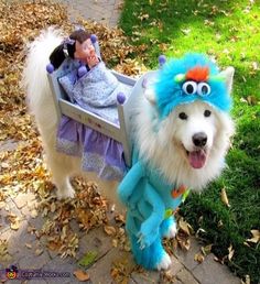 a white dog wearing a blue and orange costume next to a doll in a toy sleigh