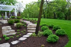 a garden with stone steps leading to a pergolated area in the middle of it