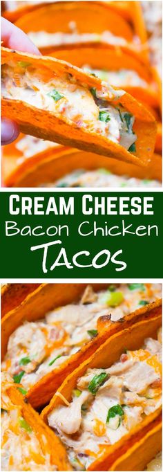 cream cheese bacon chicken tacos are an easy and delicious appetizer that is ready in less than 30 minutes