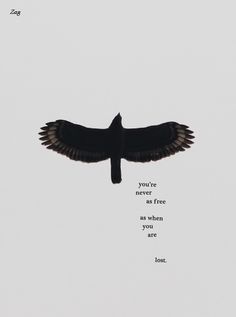 a bird flying in the sky with a quote on it's back side that reads, you're never free or when you are lone