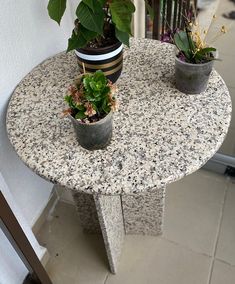 two potted plants sitting on top of a marble table next to a white wall