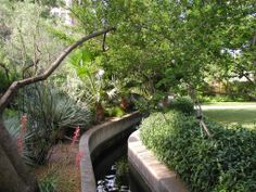 there is a small pond in the middle of some plants and trees on the other side