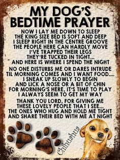 a dog's bedtime prayer with paw prints