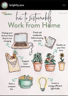 a poster with instructions on how to set up a work from home office in potted plants