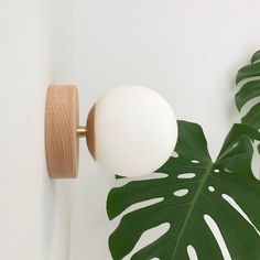 a white ball mounted on the side of a wall next to a large green leaf