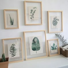 a bunch of framed pictures hanging on the wall next to a basket with plants in it