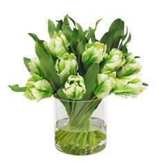 a vase filled with lots of green flowers