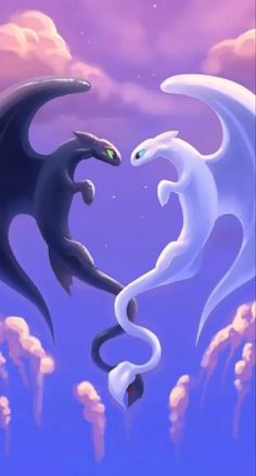 two black and white dragon facing each other in front of purple sky with clouds behind them