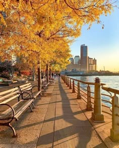 New York In The Fall, Boston Aesthetic, Fantasy Story Ideas, Fall City, Nyc Fall, Autumn Park