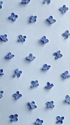 many blue flowers are floating in the air on a white surface with no one around them