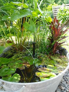 a potted planter filled with water and plants