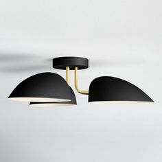 two black lamps hanging from the ceiling