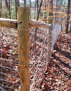 a fence in the woods with leaves on the ground