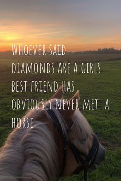 a horse that is standing in the grass with a quote on it saying whoever said diamonds are a girls best friend has obvuously never met a horse