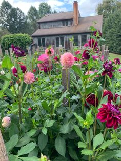 a garden filled with lots of flowers next to a wooden fence in front of a house