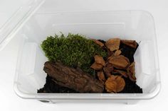 a plastic container filled with plants and dirt