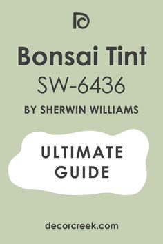 Bonsai Tint SW 6436  by Sherwin-Williams. The Ultimate Guide Sherwin Williams Bonsai Tint, Green Exterior Paints, Sherwin Williams Color Palette, In Conclusion, Sherwin Williams Colors, Trim Color