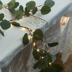 the table is covered with white lace and green leaves, which are lit up by fairy lights