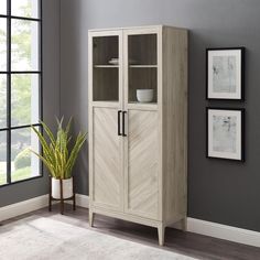 a wooden cabinet with glass doors next to a potted plant and pictures on the wall