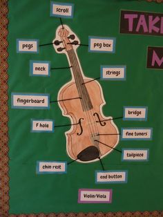 the parts of a violin on a bulletin board with labels for each part, including words and pictures