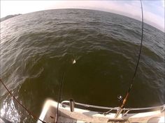 two fishing rods in the water on a boat