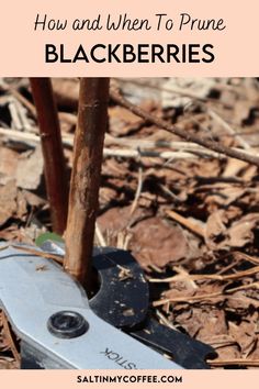 a pair of pliers with the words how and when to prune blackberries